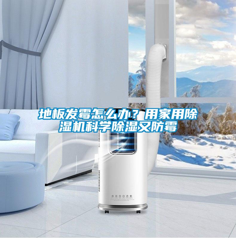 地板發(fā)霉怎么辦？用家用除濕機科學(xué)除濕又防霉