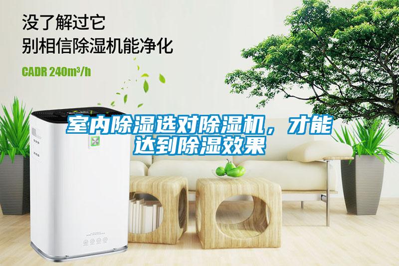 室內除濕選對除濕機，才能達到除濕效果