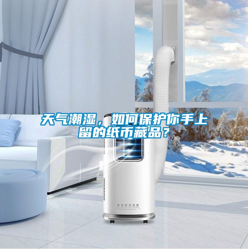 天氣潮濕，如何保護你手上留的紙幣藏品？