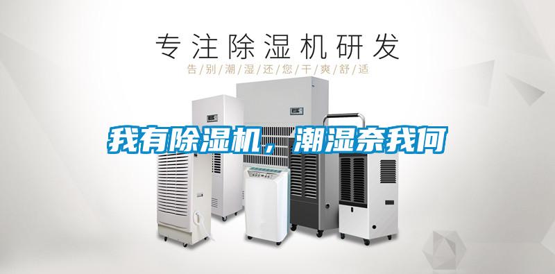 我有除濕機，潮濕奈我何