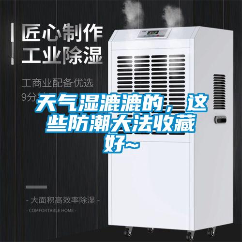 天氣濕漉漉的，這些防潮大法收藏好~
