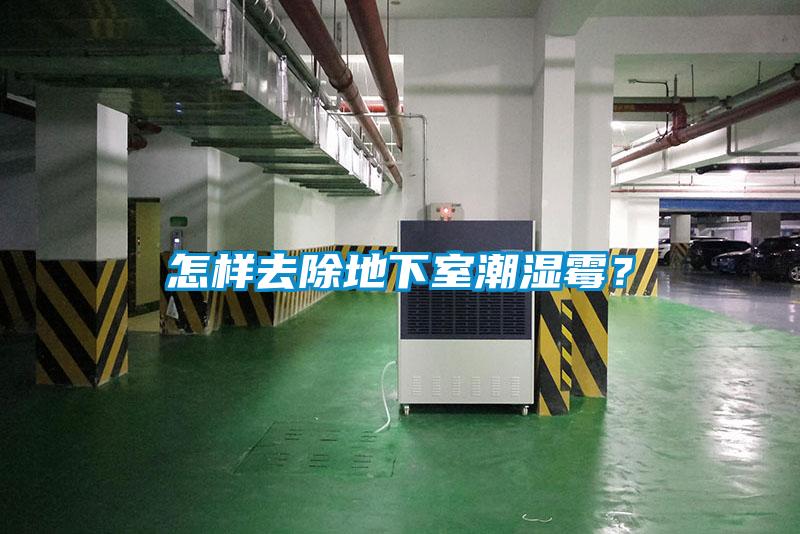 怎樣去除地下室潮濕霉？