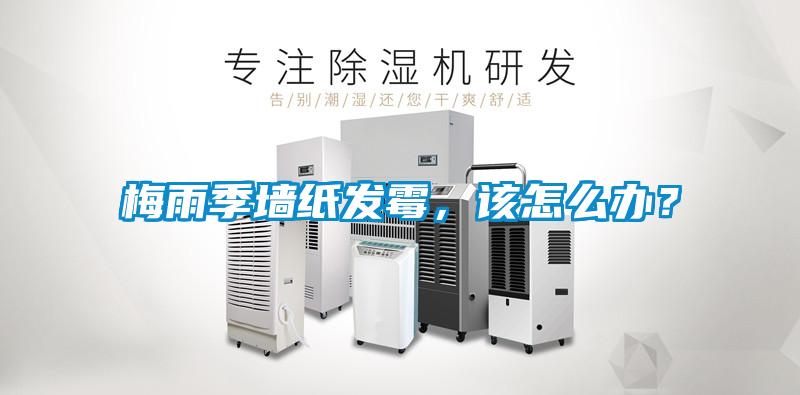 梅雨季墻紙發(fā)霉，該怎么辦？