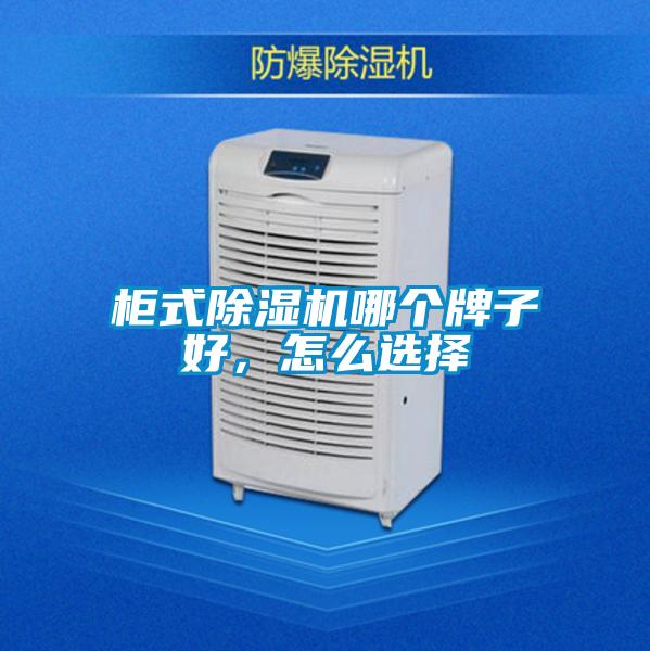 柜式除濕機哪個(gè)牌子好，怎么選擇