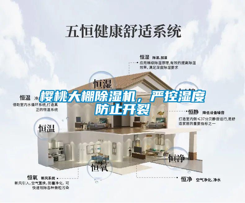 櫻桃大棚除濕機，嚴控濕度防止開(kāi)裂
