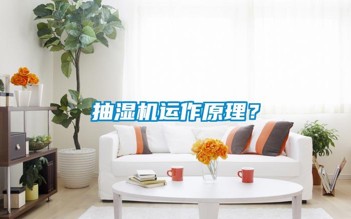 抽濕機運作原理？