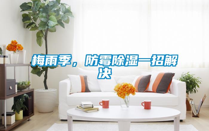 梅雨季，防霉除濕一招解決