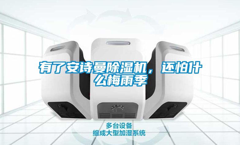 有了安詩(shī)曼除濕機，還怕什么梅雨季