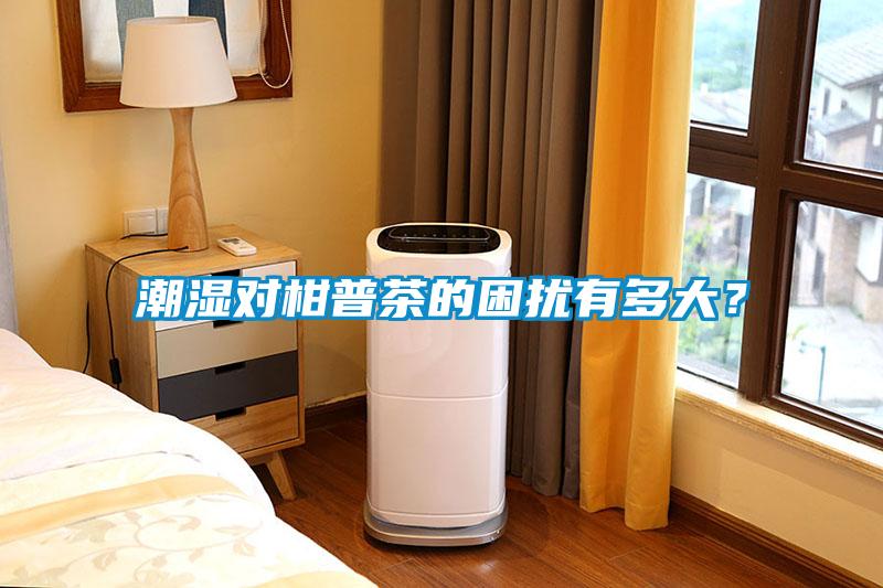 潮濕對柑普茶的困擾有多大？