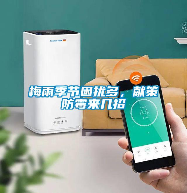 梅雨季節困擾多，獻策防霉來(lái)幾招