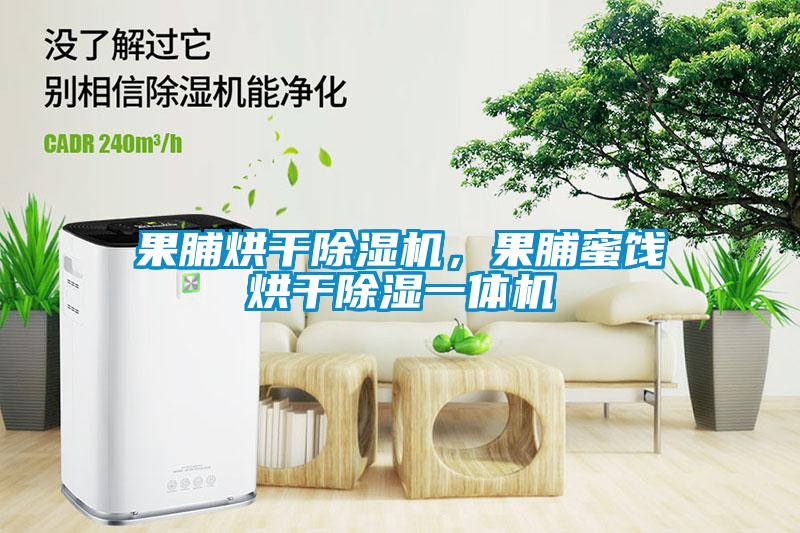 果脯烘干除濕機，果脯蜜餞烘干除濕一體機