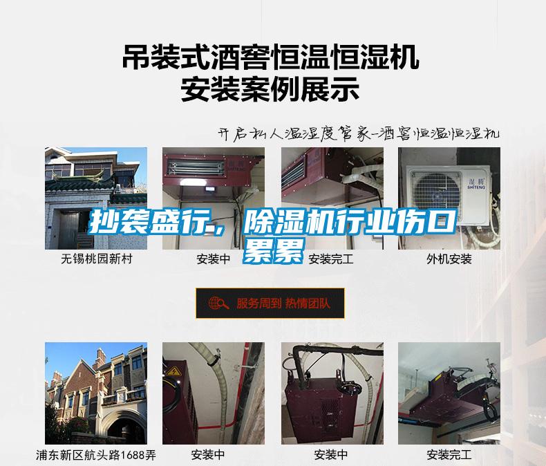 抄襲盛行，除濕機行業(yè)傷口累累
