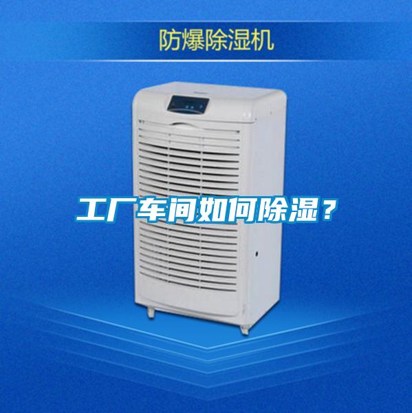 工廠(chǎng)車(chē)間如何除濕？