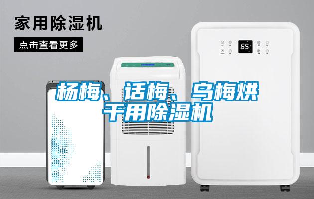 楊梅、話(huà)梅、烏梅烘干用除濕機