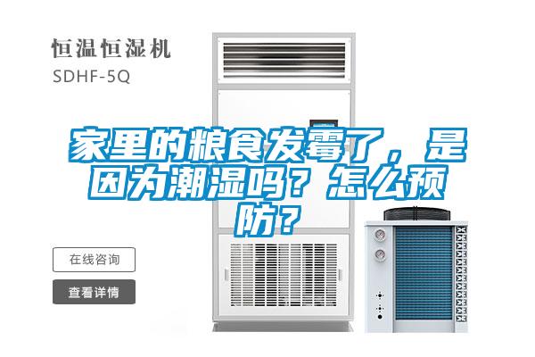 家里的糧食發(fā)霉了，是因為潮濕嗎？怎么預防？
