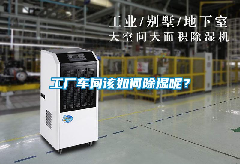 工廠(chǎng)車(chē)間該如何除濕呢？
