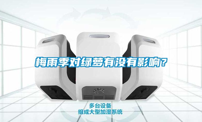 梅雨季對綠蘿有沒(méi)有影響？