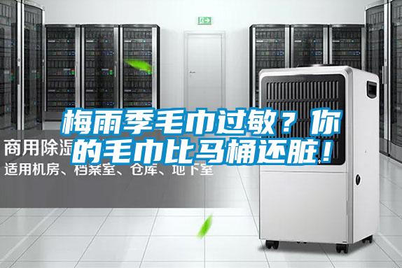 梅雨季毛巾過(guò)敏？你的毛巾比馬桶還臟！