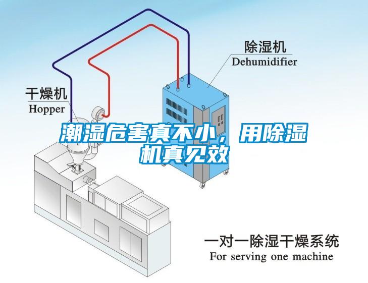 潮濕危害真不小，用除濕機真見(jiàn)效