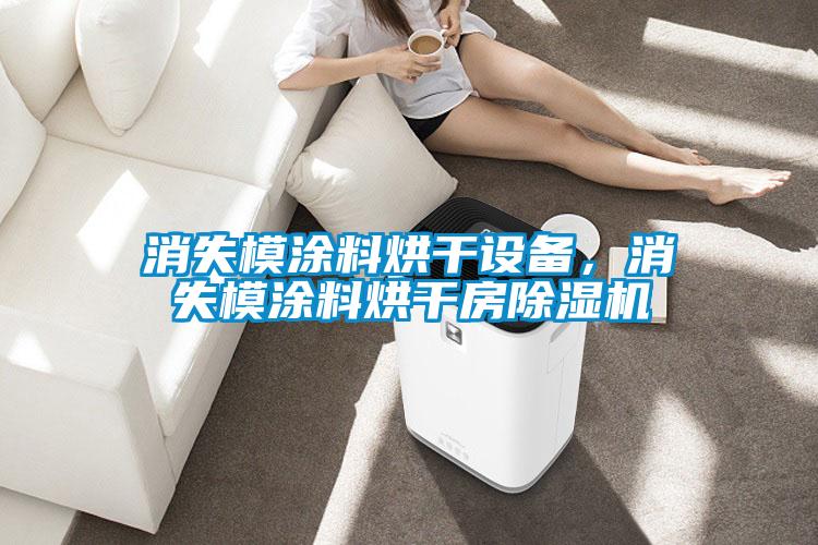 消失模涂料烘干設備，消失模涂料烘干房除濕機