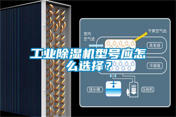 工業(yè)除濕機型號應怎么選擇？