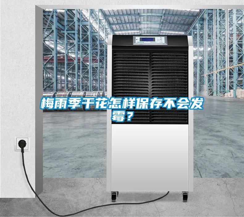梅雨季干花怎樣保存不會(huì )發(fā)霉？