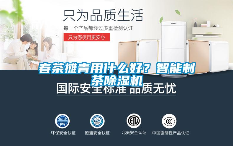 春茶攤青用什么好？智能制茶除濕機