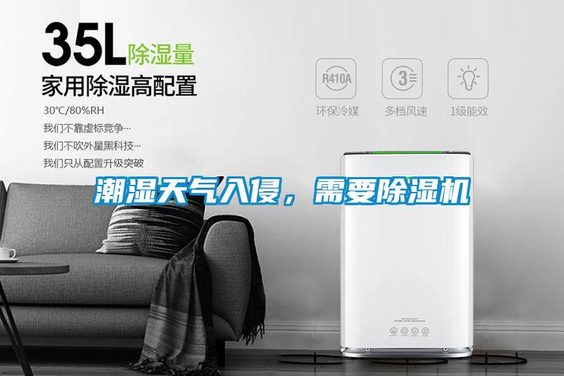 潮濕天氣入侵，需要除濕機