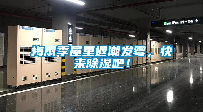 梅雨季屋里返潮發(fā)霉，快來(lái)除濕吧！
