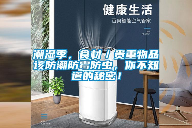潮濕季，食材／貴重物品該防潮防霉防蟲(chóng)，你不知道的秘密！