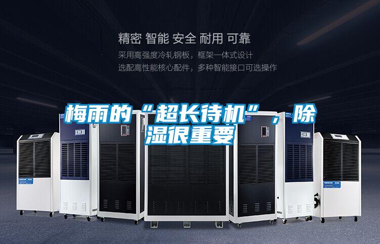 梅雨的“超長(cháng)待機”，除濕很重要