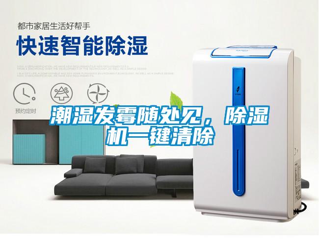 潮濕發(fā)霉隨處見(jiàn)，除濕機一鍵清除