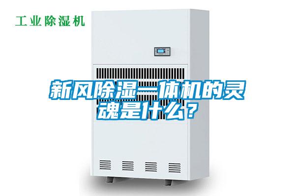 新風(fēng)除濕一體機的靈魂是什么？