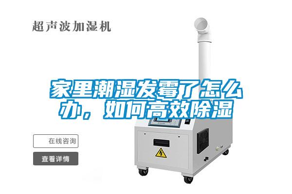 家里潮濕發(fā)霉了怎么辦，如何高效除濕