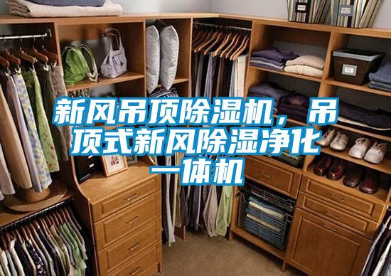 新風(fēng)吊頂除濕機，吊頂式新風(fēng)除濕凈化一體機