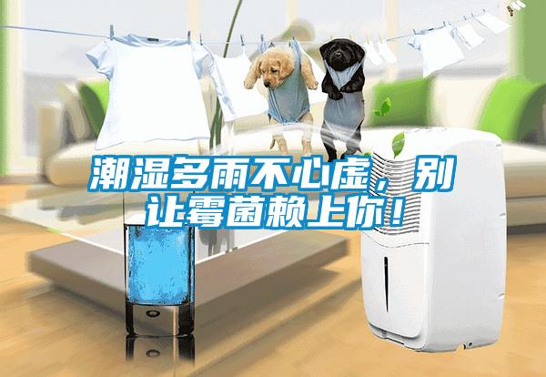 潮濕多雨不心虛，別讓霉菌賴(lài)上你！
