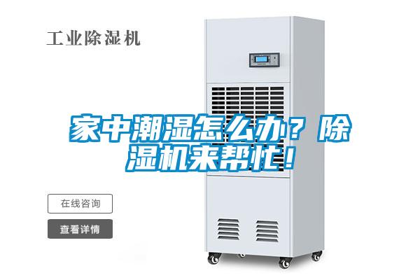 家中潮濕怎么辦？除濕機來(lái)幫忙！