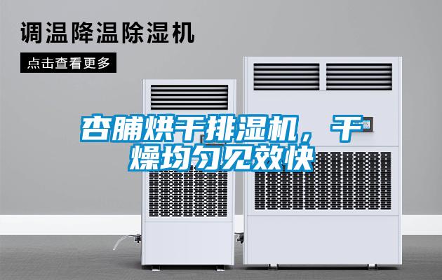 杏脯烘干排濕機，干燥均勻見(jiàn)效快