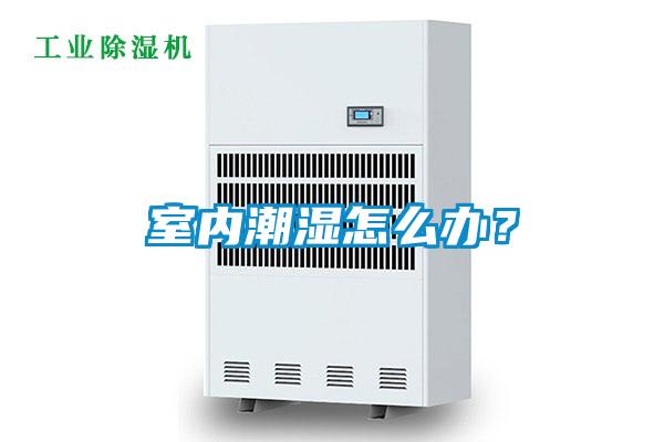 室內潮濕怎么辦？
