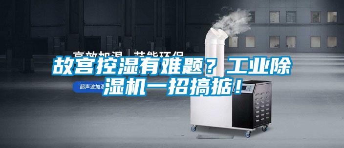 故宮控濕有難題？工業(yè)除濕機一招搞掂！
