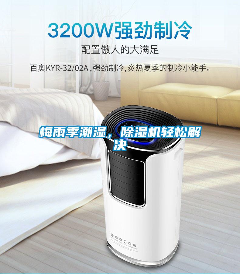 梅雨季潮濕，除濕機輕松解決