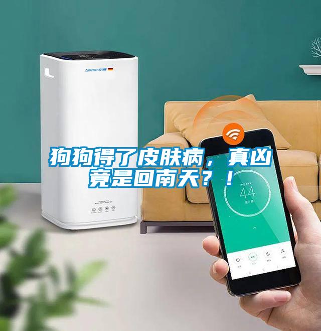 狗狗得了皮膚病，真兇竟是回南天？！