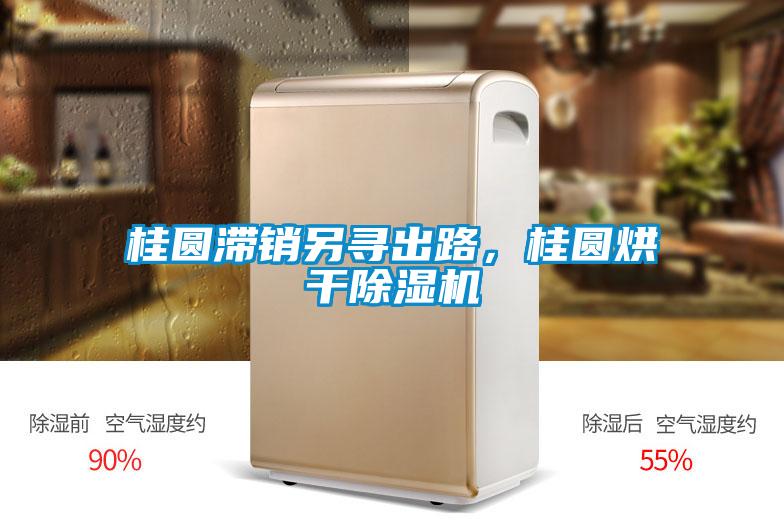 桂圓滯銷(xiāo)另尋出路，桂圓烘干除濕機