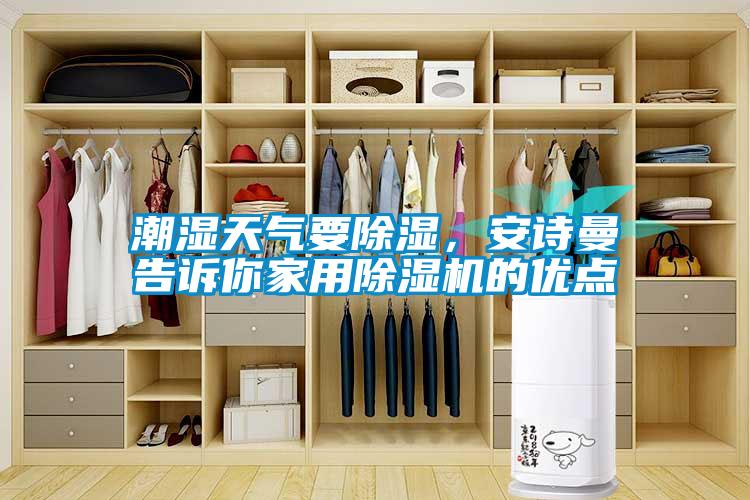 潮濕天氣要除濕，安詩(shī)曼告訴你家用除濕機的優(yōu)點(diǎn)