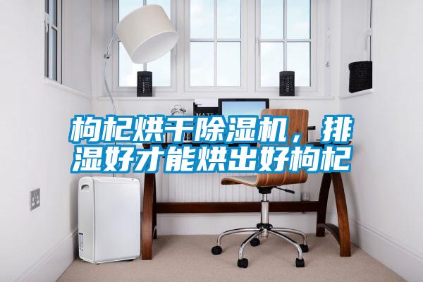 枸杞烘干除濕機，排濕好才能烘出好枸杞