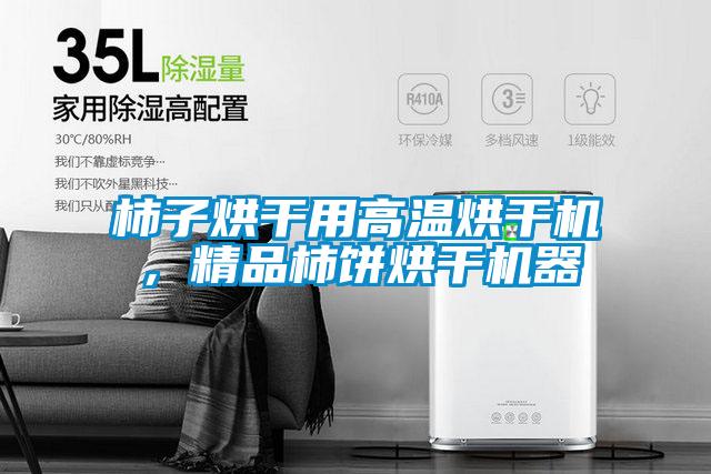 柿子烘干用高溫烘干機，精品柿餅烘干機器