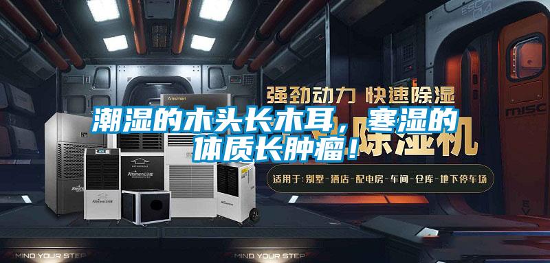 潮濕的木頭長(cháng)木耳，寒濕的體質(zhì)長(cháng)腫瘤！