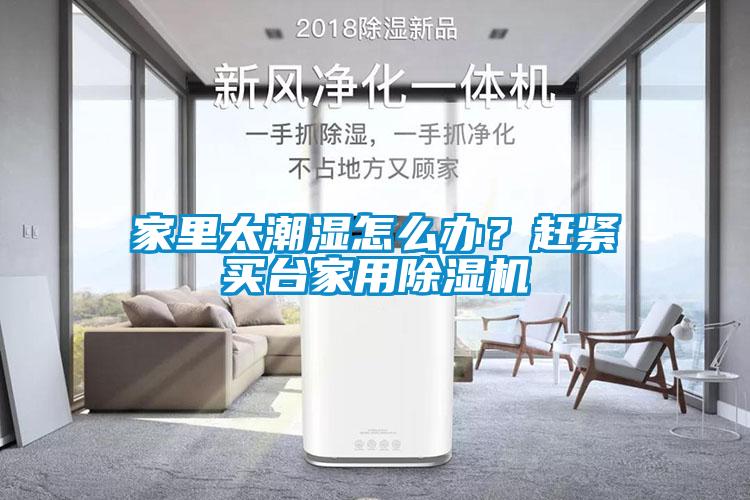 家里太潮濕怎么辦？趕緊買(mǎi)臺家用除濕機