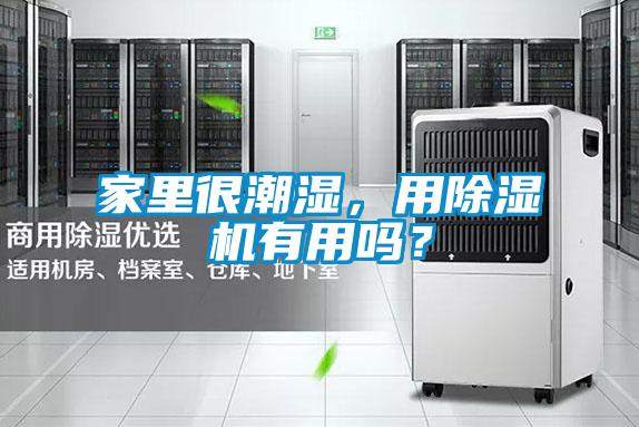 家里很潮濕，用除濕機有用嗎？