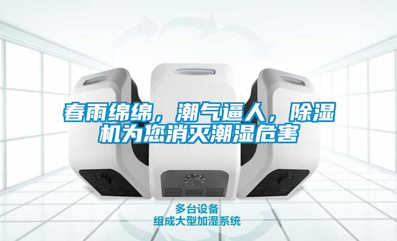 春雨綿綿，潮氣逼人，除濕機為您消滅潮濕危害